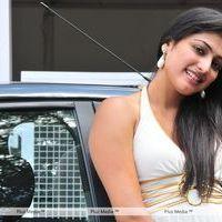Haripriya New Photo Shoot - Pictures | Picture 115696